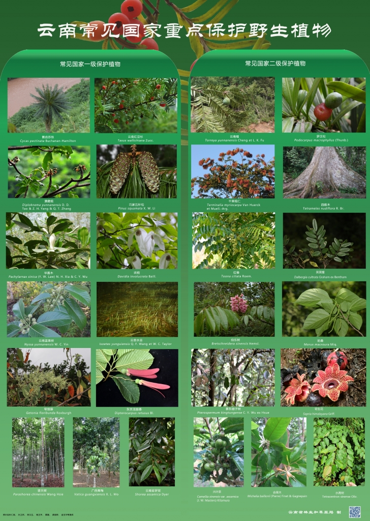 �԰��շ���Σ�������ص��������������ֲ����